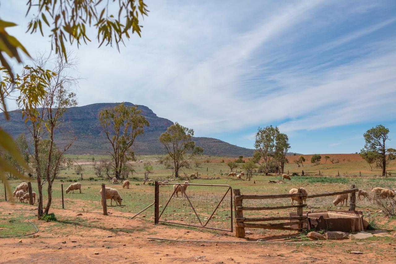 Rawnsley Park Station Hotel Flinders Ranges Exterior photo